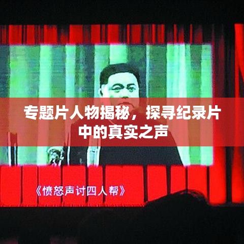 專題片人物揭秘，探尋紀(jì)錄片中的真實(shí)之聲