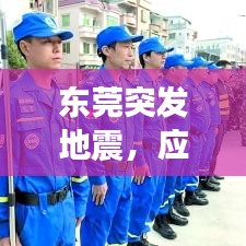 東莞突發(fā)地震，應(yīng)對(duì)與反思，深度剖析事件真相