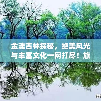 金灘古林探秘，絕美風光與豐富文化一網打盡！旅游攻略大揭秘！