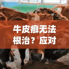 牛皮癬無(wú)法根治？應(yīng)對(duì)策略助你擺脫皮膚病困擾！