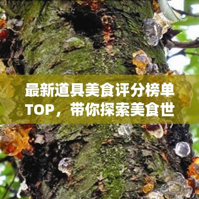 最新道具美食評(píng)分榜單TOP，帶你探索美食世界的寶藏佳肴