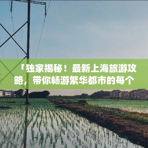 「獨(dú)家揭秘！最新上海旅游攻略，帶你暢游繁華都市的每個(gè)角落」