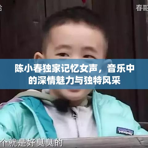陳小春獨(dú)家記憶女聲，音樂(lè)中的深情魅力與獨(dú)特風(fēng)采