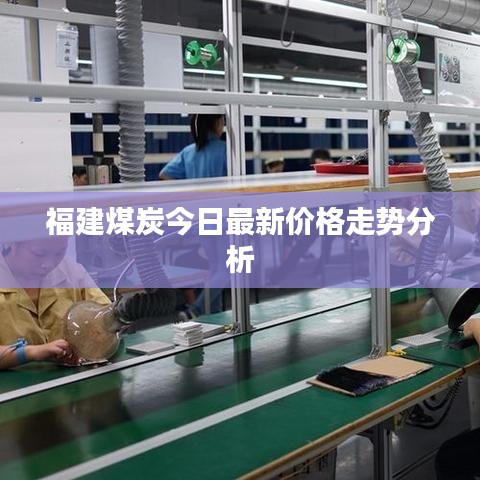 福建煤炭今日最新價格走勢分析