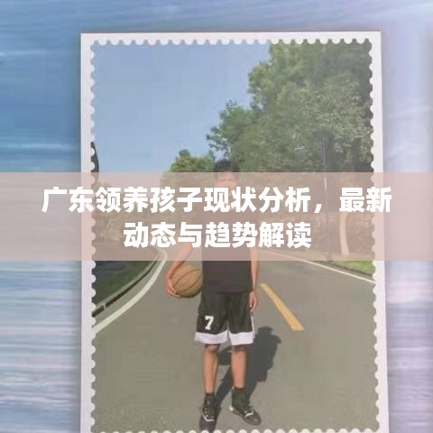 廣東領(lǐng)養(yǎng)孩子現(xiàn)狀分析，最新動(dòng)態(tài)與趨勢(shì)解讀