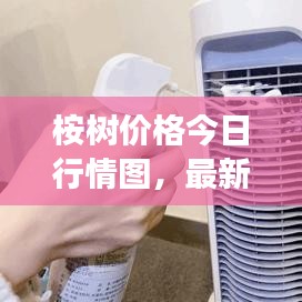 桉樹(shù)價(jià)格今日行情圖，最新市場(chǎng)動(dòng)態(tài)一網(wǎng)打盡！