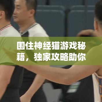 圍住神經(jīng)貓游戲秘籍，獨(dú)家攻略助你輕松通關(guān)！