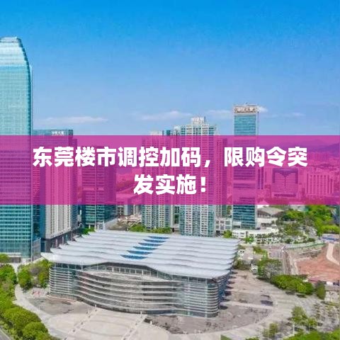 東莞樓市調(diào)控加碼，限購令突發(fā)實施！