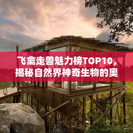 飛禽走獸魅力榜TOP10，揭秘自然界神奇生物的奧秘