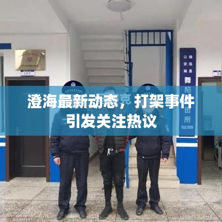 澄海最新動態(tài)，打架事件引發(fā)關注熱議