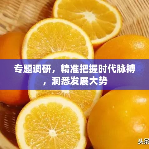 專題調(diào)研，精準(zhǔn)把握時(shí)代脈搏，洞悉發(fā)展大勢(shì)