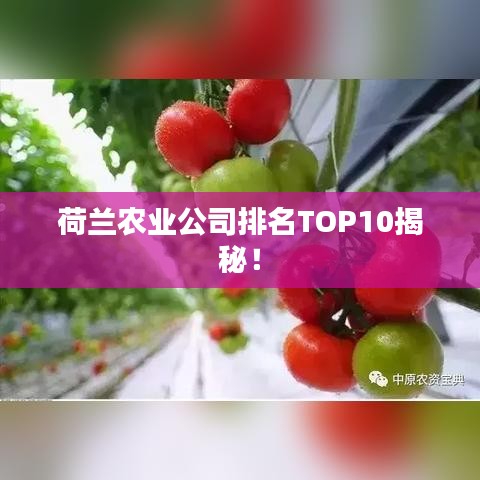 荷蘭農(nóng)業(yè)公司排名TOP10揭秘！
