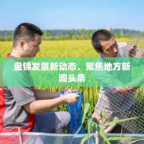盤錦發(fā)展新動態(tài)，聚焦地方新聞頭條