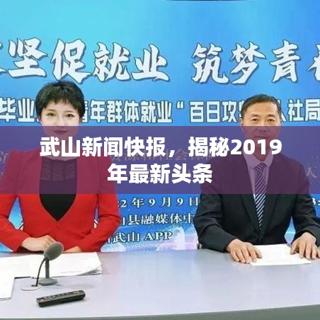 武山新聞快報，揭秘2019年最新頭條