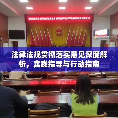 法律法規(guī)貫徹落實(shí)意見(jiàn)深度解析，實(shí)踐指導(dǎo)與行動(dòng)指南