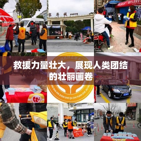 救援力量壯大，展現(xiàn)人類團(tuán)結(jié)的壯麗畫卷