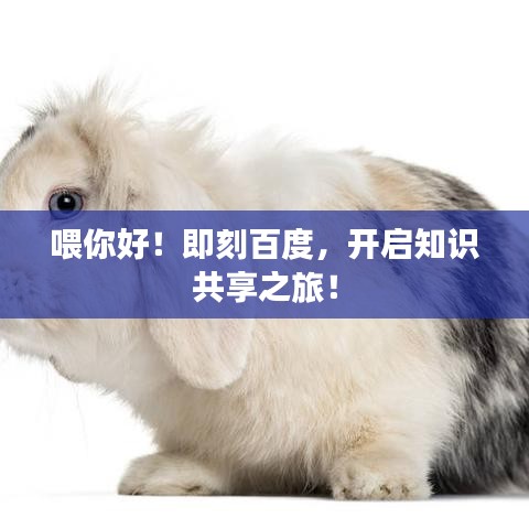 喂你好！即刻百度，開啟知識共享之旅！