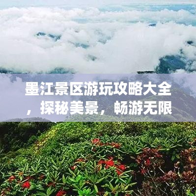 管窺蛙見