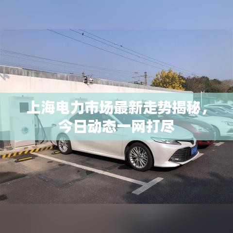 上海電力市場(chǎng)最新走勢(shì)揭秘，今日動(dòng)態(tài)一網(wǎng)打盡