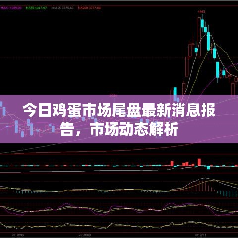 今日雞蛋市場尾盤最新消息報告，市場動態(tài)解析