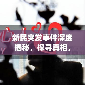 新民突發(fā)事件深度揭秘，探尋真相，不容忽視