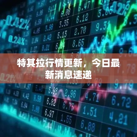 特其拉行情更新，今日最新消息速遞