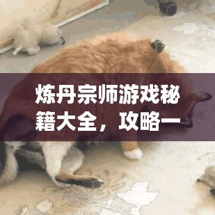 煉丹宗師游戲秘籍大全，攻略一網(wǎng)打盡！
