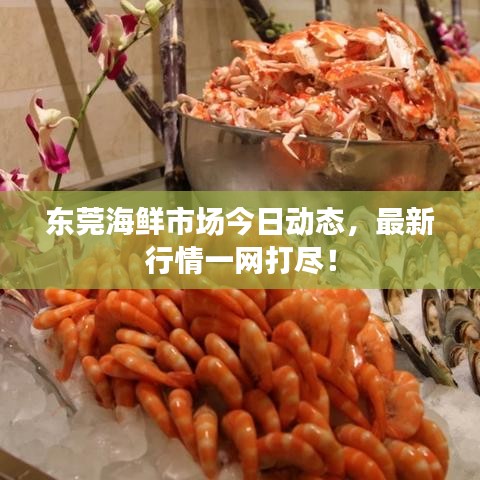 東莞海鮮市場今日動態(tài)，最新行情一網(wǎng)打盡！