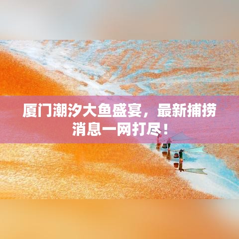 廈門潮汐大魚盛宴，最新捕撈消息一網(wǎng)打盡！