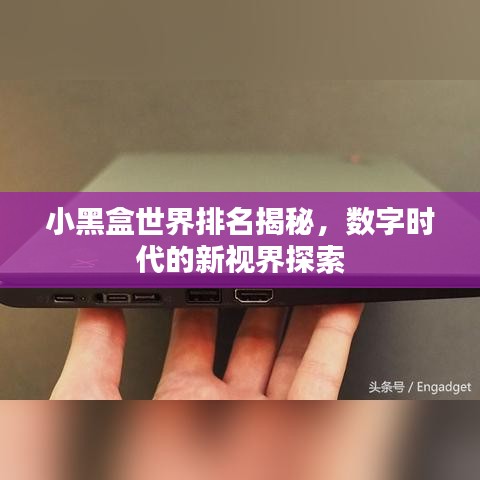 小黑盒世界排名揭秘，數(shù)字時代的新視界探索