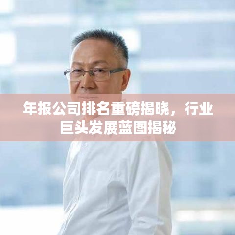 年報公司排名重磅揭曉，行業(yè)巨頭發(fā)展藍(lán)圖揭秘