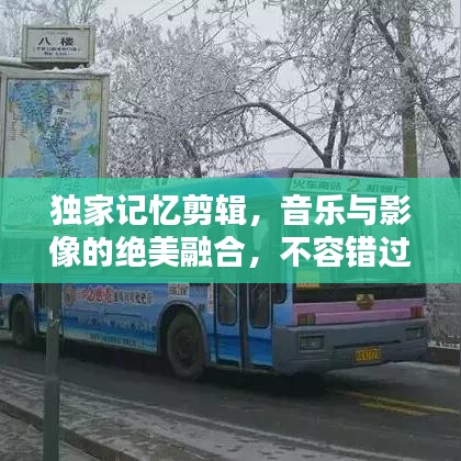 堂堂正正