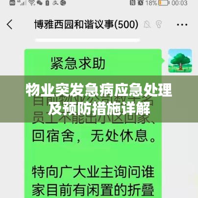 飛揚(yáng)跋扈