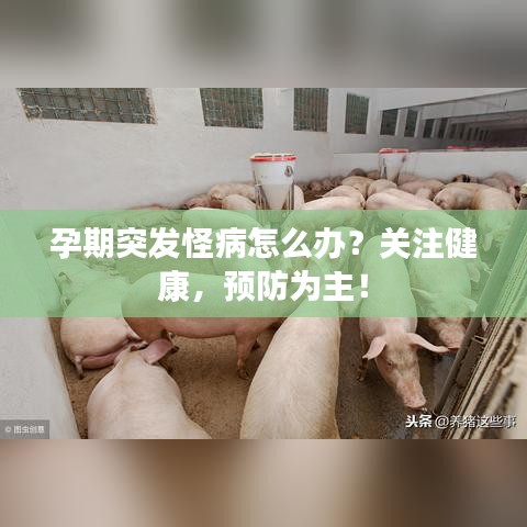孕期突發(fā)怪病怎么辦？關(guān)注健康，預(yù)防為主！