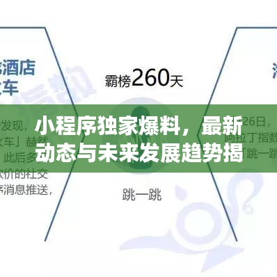 小程序獨家爆料，最新動態(tài)與未來發(fā)展趨勢揭秘
