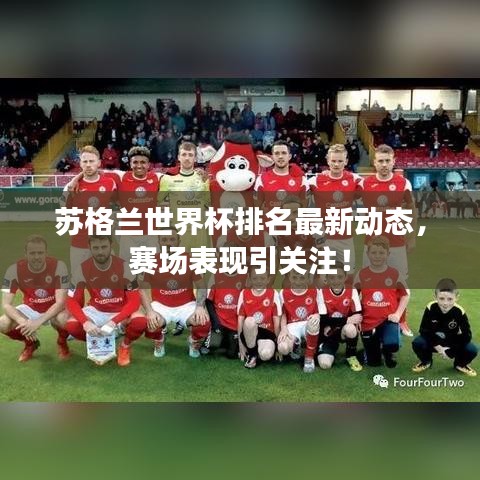 蘇格蘭世界杯排名最新動態(tài)，賽場表現(xiàn)引關(guān)注！