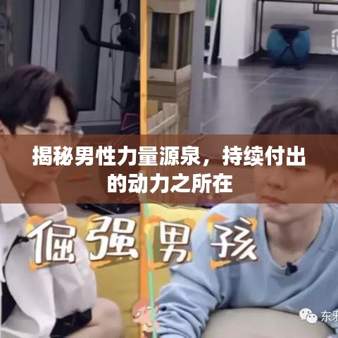 揭秘男性力量源泉，持續(xù)付出的動(dòng)力之所在