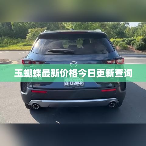玉蝴蝶最新價(jià)格今日更新查詢(xún)