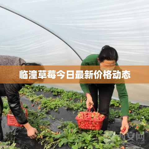 聯系我們 第13頁