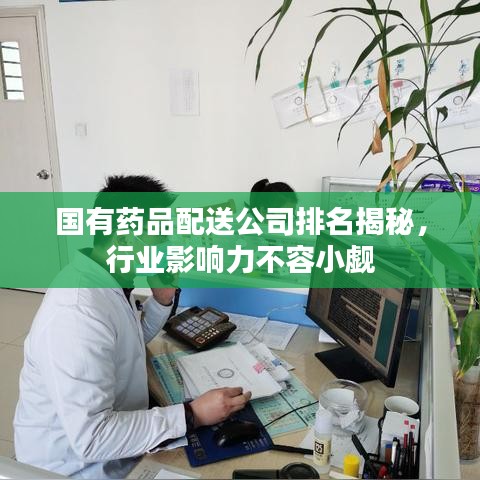 國有藥品配送公司排名揭秘，行業(yè)影響力不容小覷