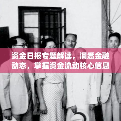 資金日報專題解讀，洞悉金融動態(tài)，掌握資金流動核心信息！