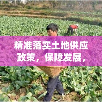 精準(zhǔn)落實(shí)土地供應(yīng)政策，保障發(fā)展，守護(hù)耕地安全