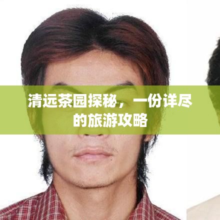 清遠(yuǎn)茶園探秘，一份詳盡的旅游攻略
