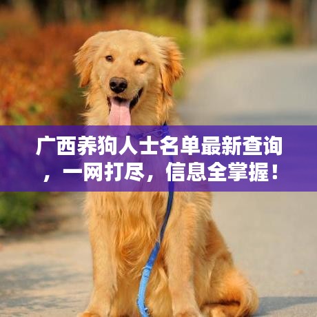 廣西養(yǎng)狗人士名單最新查詢，一網(wǎng)打盡，信息全掌握！