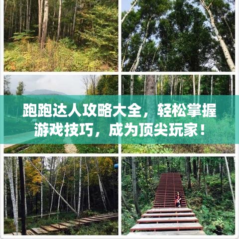 跑跑達人攻略大全，輕松掌握游戲技巧，成為頂尖玩家！
