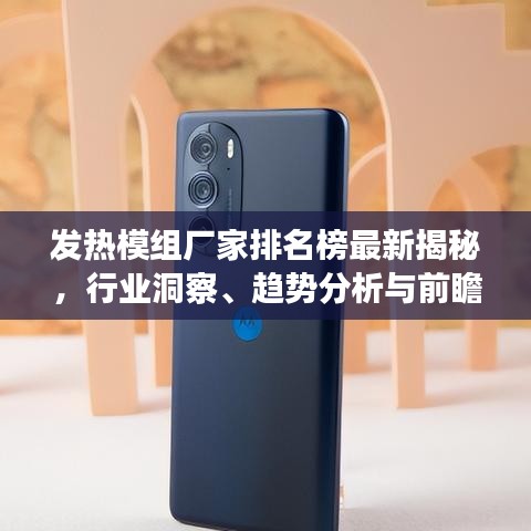 發(fā)熱模組廠家排名榜最新揭秘，行業(yè)洞察、趨勢分析與前瞻研究