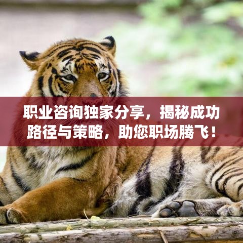 職業(yè)咨詢獨(dú)家分享，揭秘成功路徑與策略，助您職場(chǎng)騰飛！