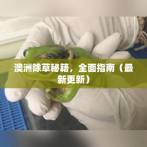 澳洲除草秘籍，全面指南（最新更新）