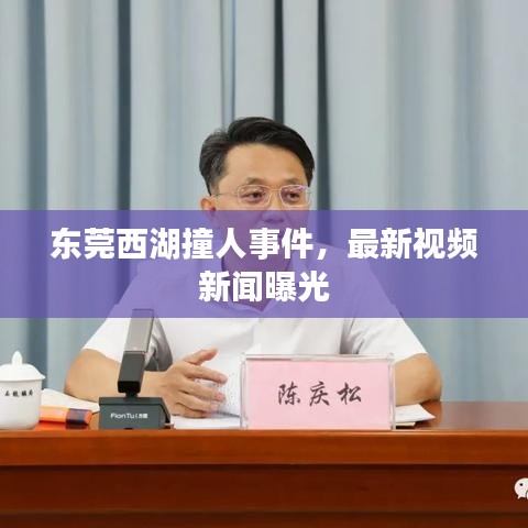 東莞西湖撞人事件，最新視頻新聞曝光