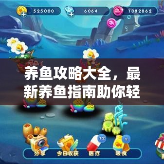 養(yǎng)魚攻略大全，最新養(yǎng)魚指南助你輕松成為養(yǎng)魚達(dá)人！